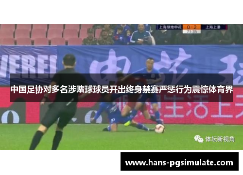 中国足协对多名涉赌球球员开出终身禁赛严惩行为震惊体育界 中国足协对多名涉赌球球员开出终身禁赛严惩行为震惊体育界