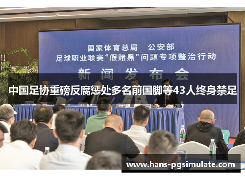 中国足协重磅反腐惩处多名前国脚等43人终身禁足 中国足协重磅反腐惩处多名前国脚等43人终身禁足